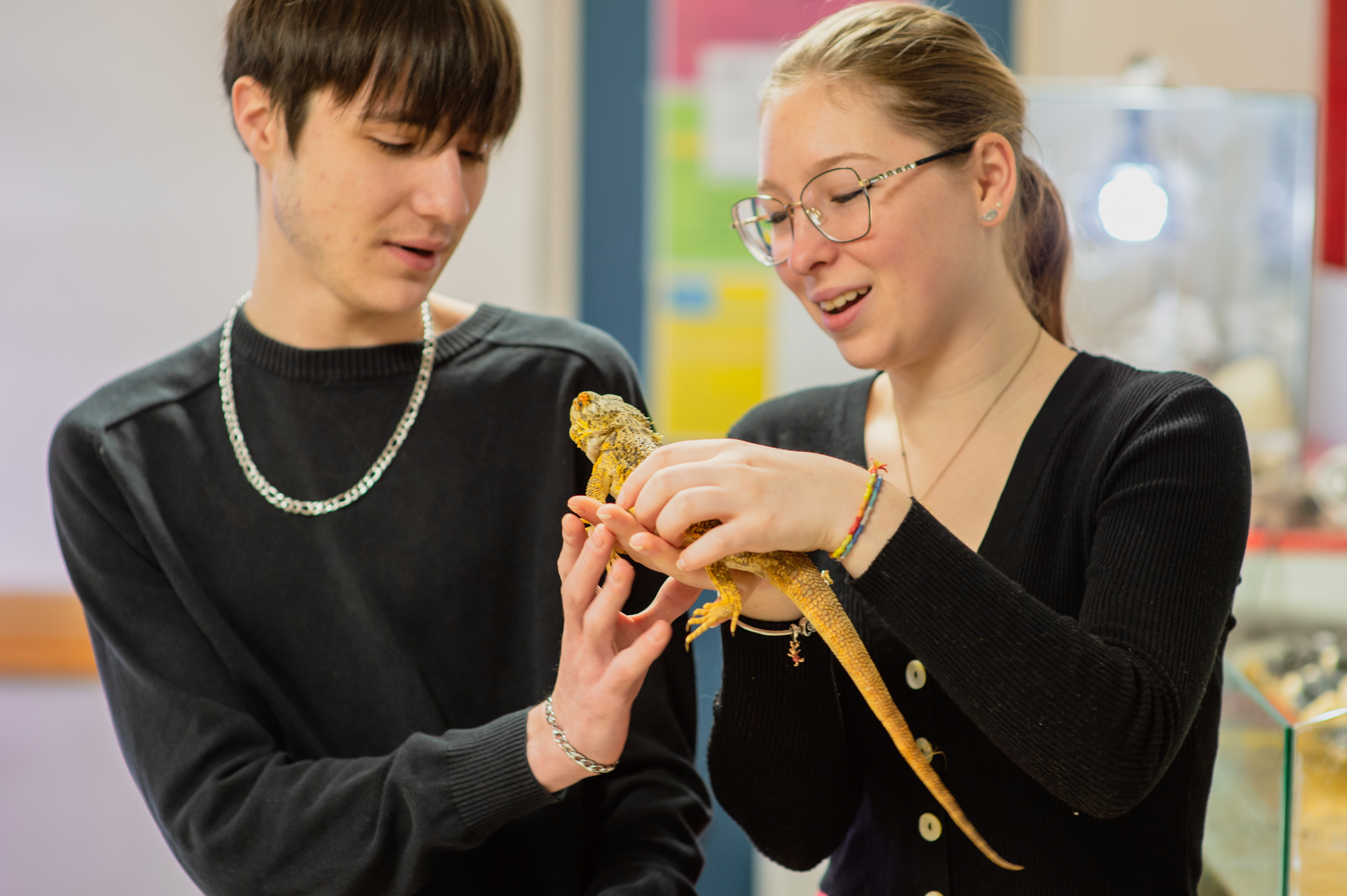 BAC Pro technicien conseil vente en animalerie